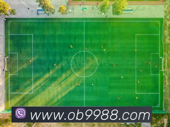 oubao欧宝平台生态图
